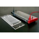 快速PCR水平電泳槽